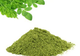 Moringa-Leaf-Powder