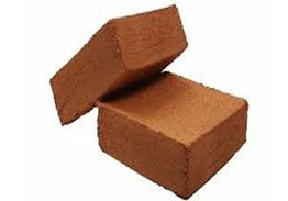 Coco-Peat-block